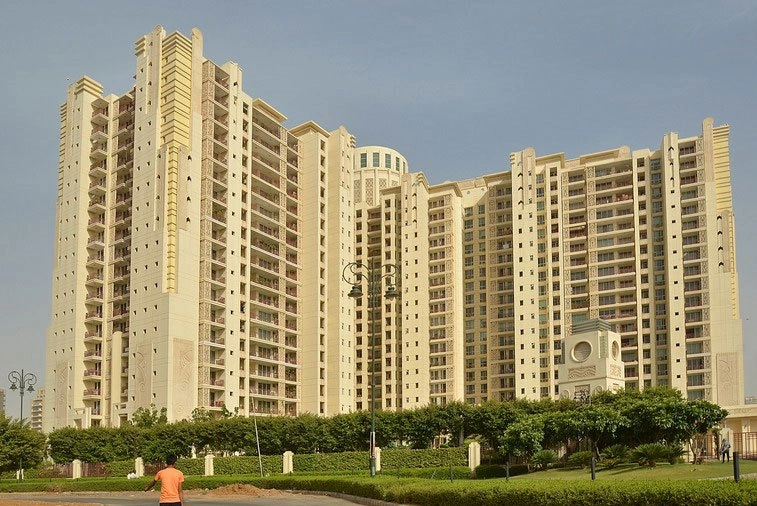 DLF Summit